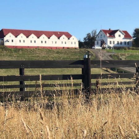 Helluland Guesthouse Saudarkrokur Eksteriør billede