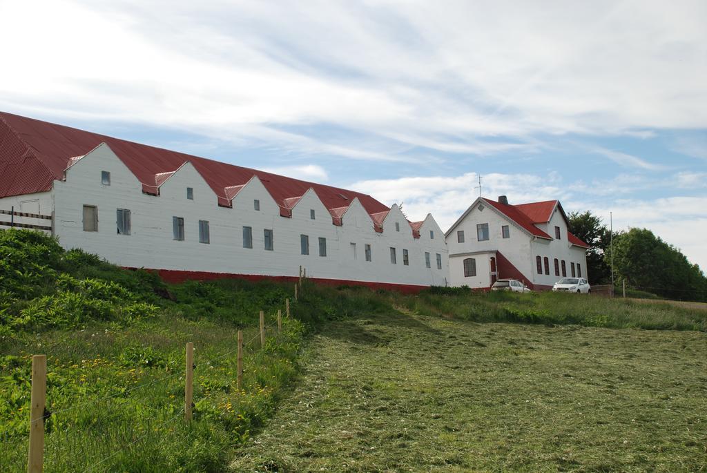 Helluland Guesthouse Saudarkrokur Eksteriør billede