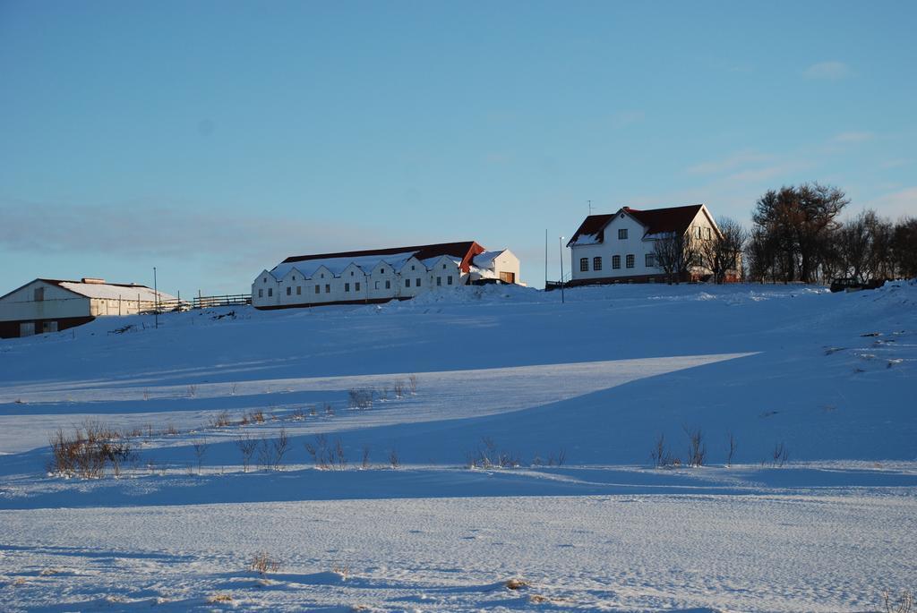 Helluland Guesthouse Saudarkrokur Eksteriør billede