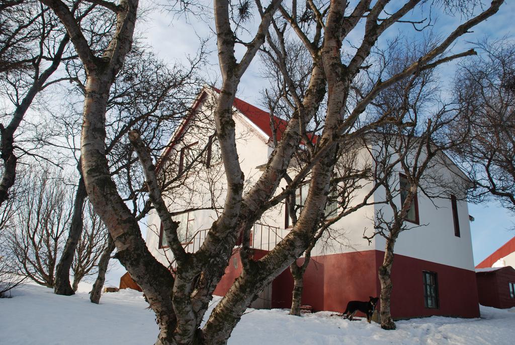 Helluland Guesthouse Saudarkrokur Eksteriør billede