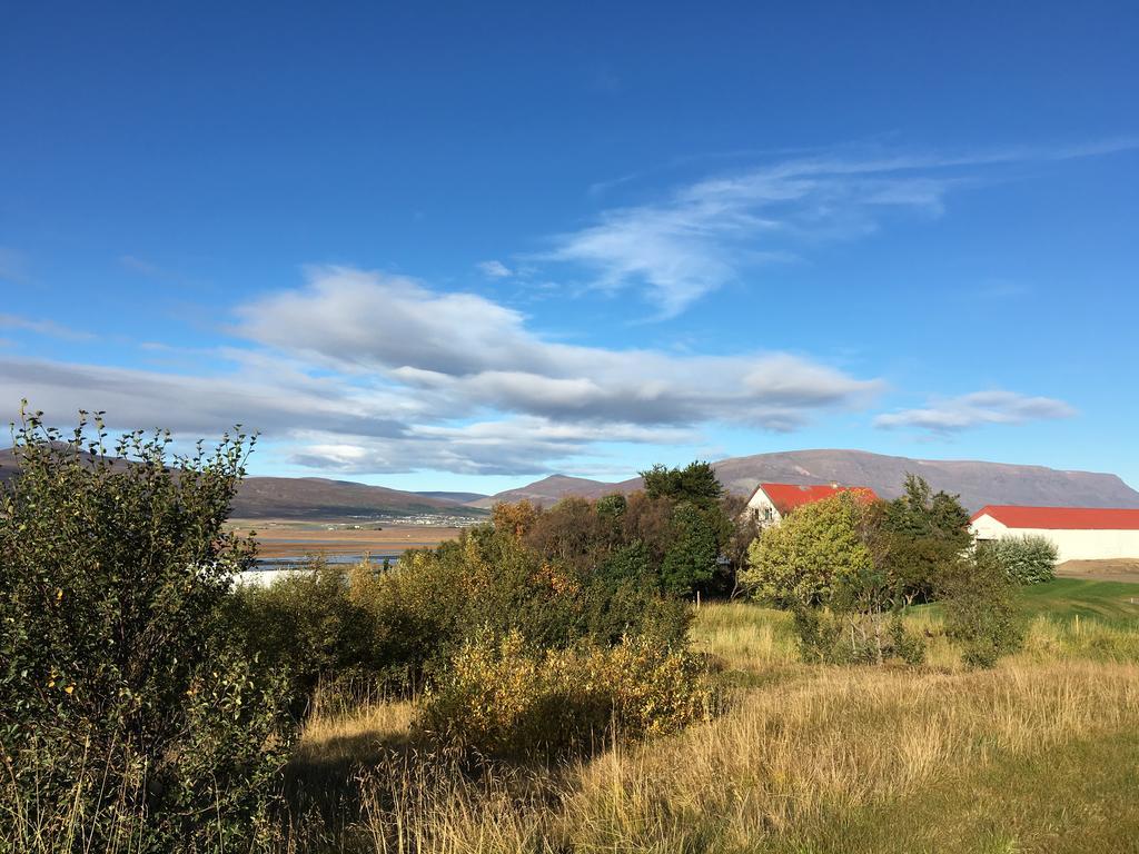 Helluland Guesthouse Saudarkrokur Eksteriør billede