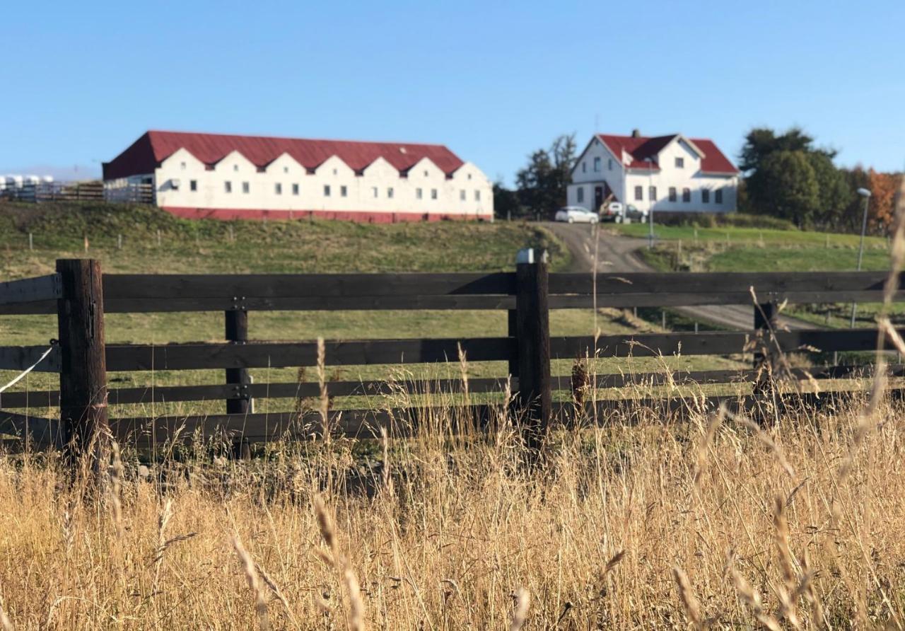 Helluland Guesthouse Saudarkrokur Eksteriør billede